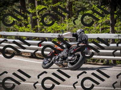 20250531102705-DSC_3037_am_