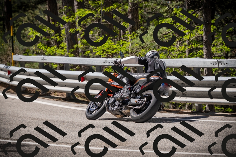 20250531102705-DSC_3037_am_