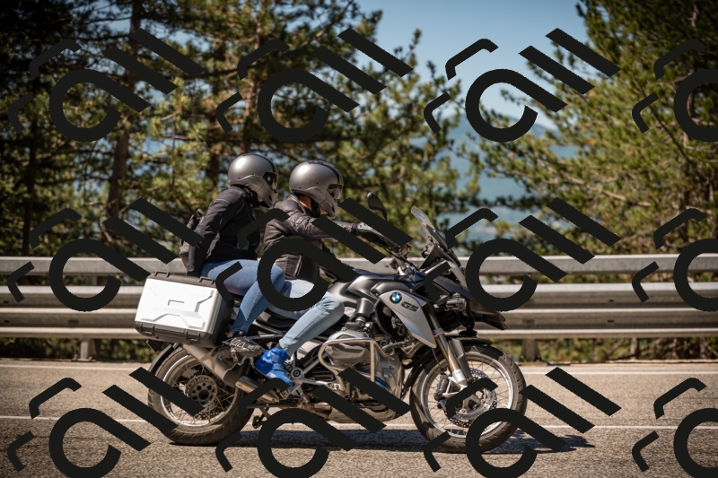 20250531102742-DSC_3041_am_