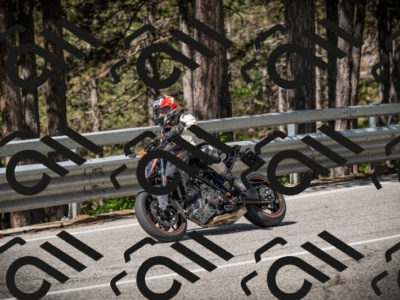 20250531103236-DSC_3044_am_