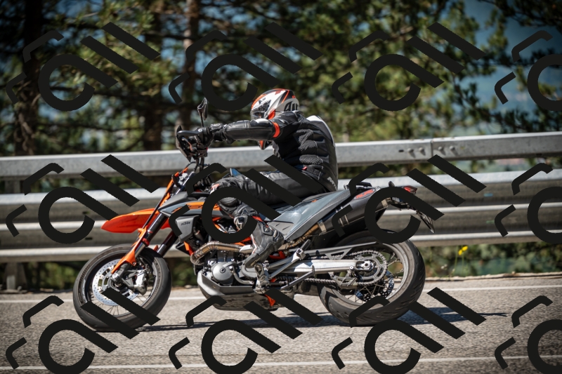 20250531103241-DSC_3051_am_