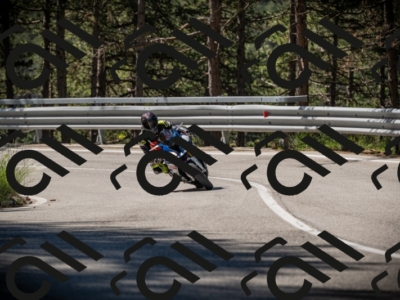 20250531103423-DSC_3054_am_