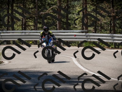 20250531103423-DSC_3055_am_