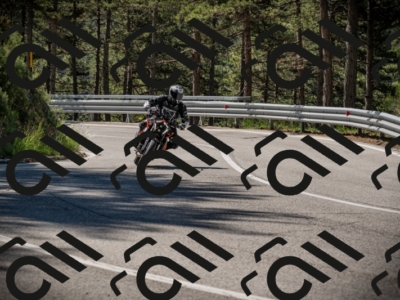 20250531103620-DSC_3061_am_