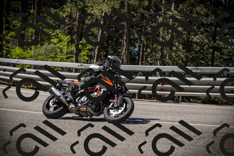 20250531103621-DSC_3063_am_