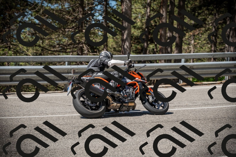 20250531103622-DSC_3065_am_