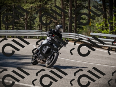 20250531103825-DSC_3076_am_