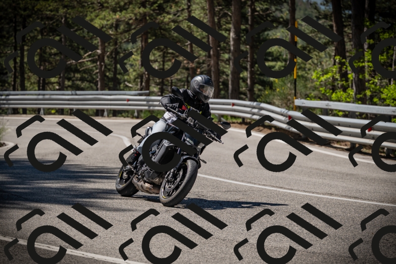 20250531103825-DSC_3076_am_