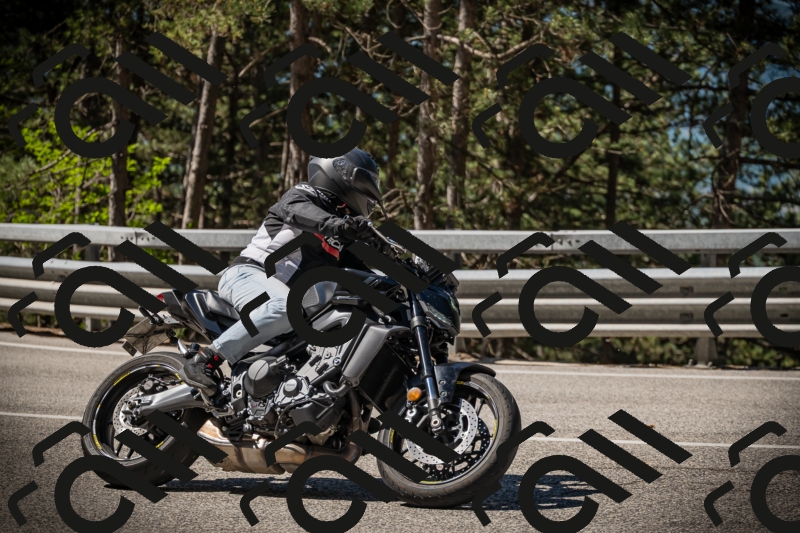 20250531103825-DSC_3077_am_