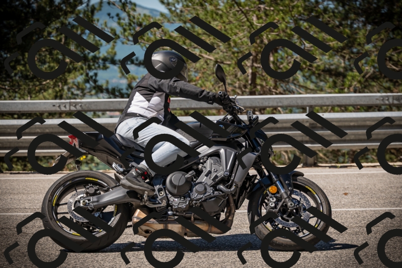 20250531103826-DSC_3078_am_