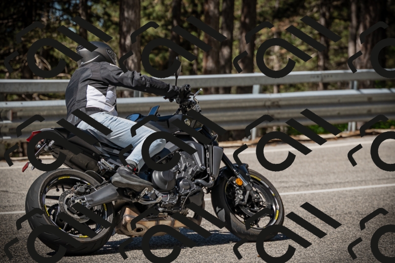 20250531103826-DSC_3079_am_