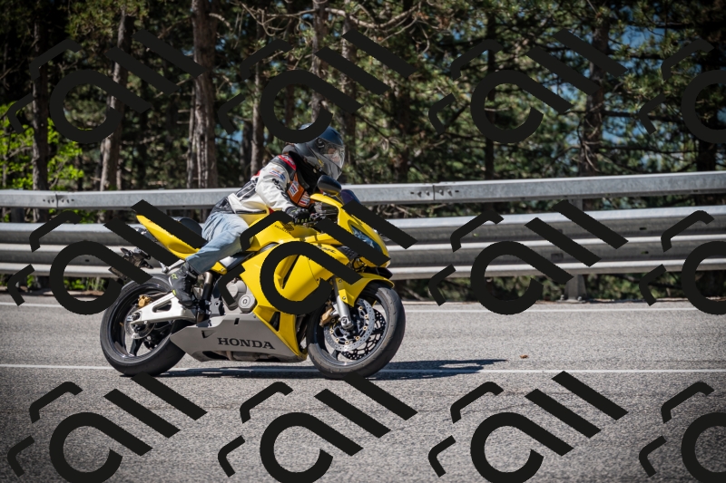 20250531103833-DSC_3081_am_