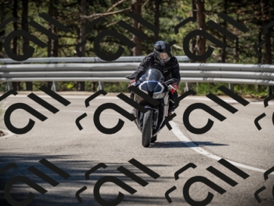 20250531104032-DSC_3084_am_