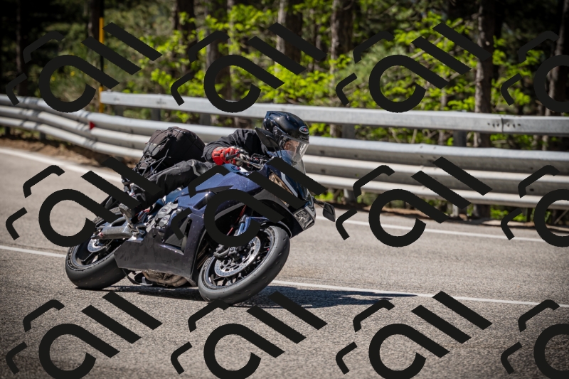 20250531104033-DSC_3085_am_