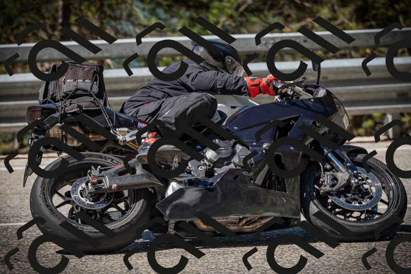 20250531104033-DSC_3086_am_