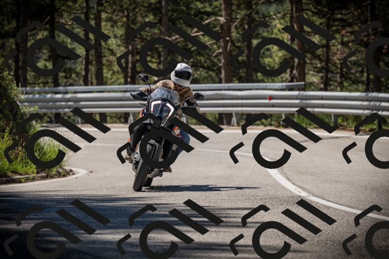 20250531104038-DSC_3089_am_