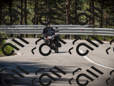 20250531104102-DSC_3094_am_