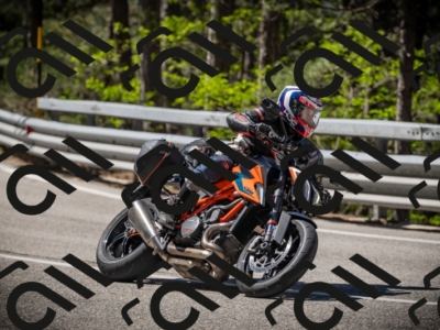 20250531104105-DSC_3099_am_