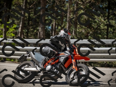 20250531104212-DSC_3109_am_