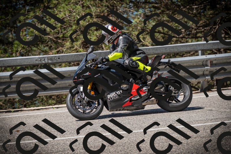 20250531104234-DSC_3113_am_