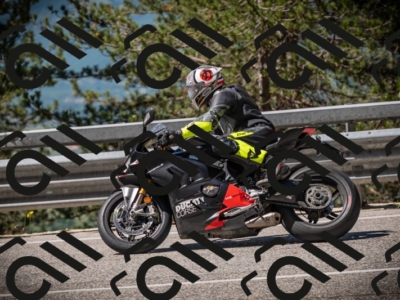 20250531104235-DSC_3114_am_