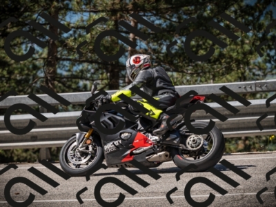 20250531104235-DSC_3115_am_