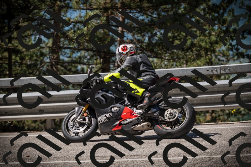 20250531104235-DSC_3115_am_