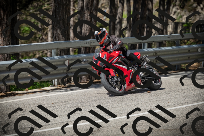 20250531104424-DSC_3116_am_