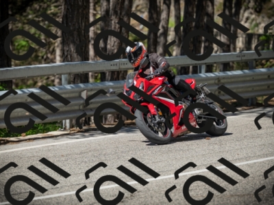 20250531104424-DSC_3116_am_