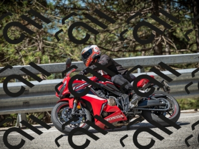 20250531104425-DSC_3117_am_