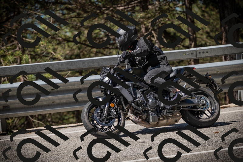 20250531104431-DSC_3121_am_