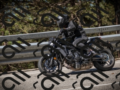 20250531104431-DSC_3121_am_