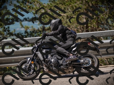 20250531104431-DSC_3122_am_