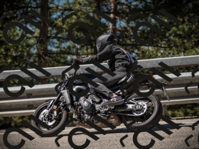 20250531104431-DSC_3123_am_