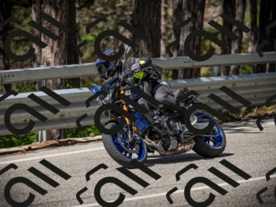 20250531104437-DSC_3124_am_