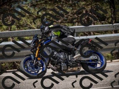 20250531104437-DSC_3125_am_