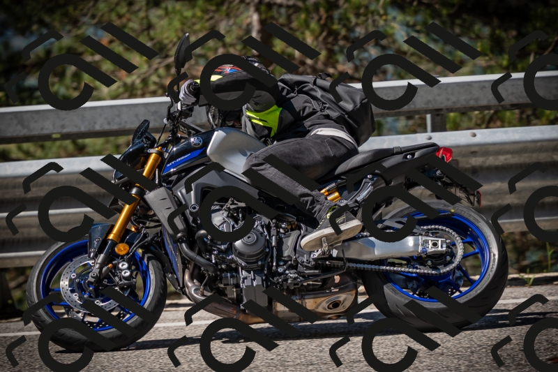 20250531104437-DSC_3126_am_