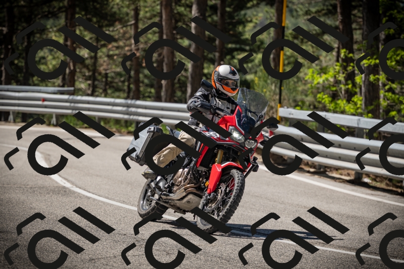 20250531104441-DSC_3128_am_