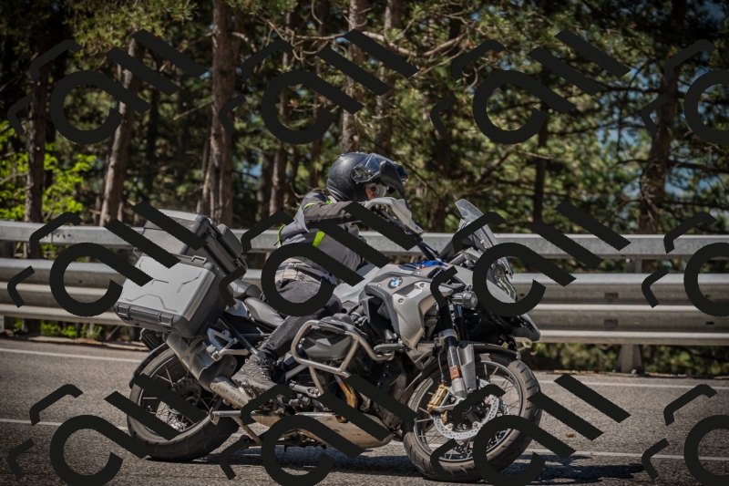 20250531104444-DSC_3131_am_