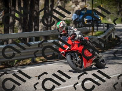 20250531104610-DSC_3153_am_