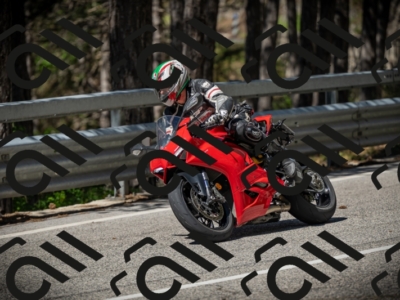 20250531104611-DSC_3154_am_