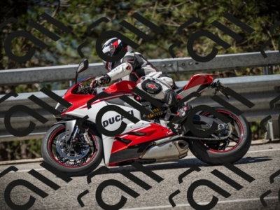 20250531104613-DSC_3160_am_