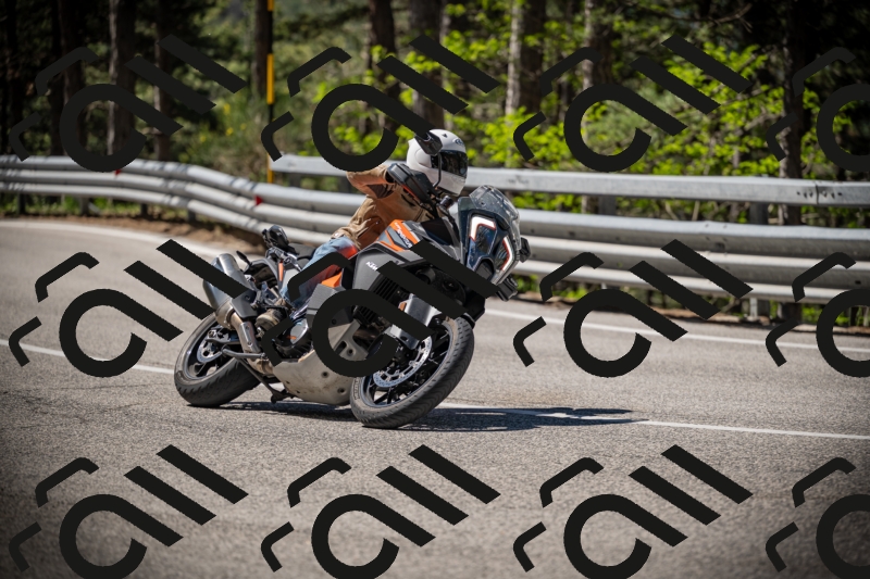 20250531104630-DSC_3164_am_