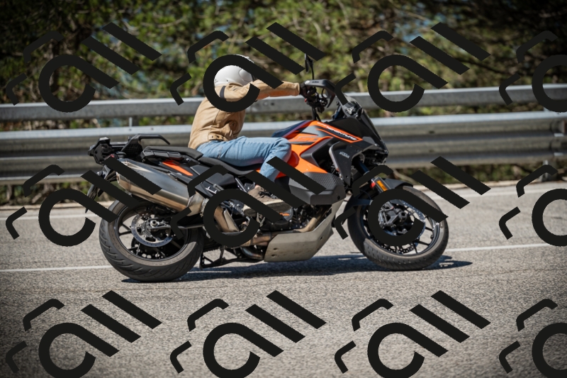 20250531104631-DSC_3166_am_