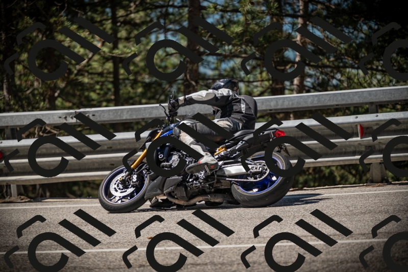 20250531104817-DSC_3171_am_