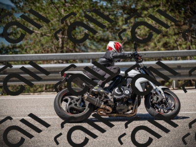 20250531104820-DSC_3173_am_