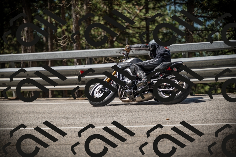 20250531104823-DSC_3178_am_