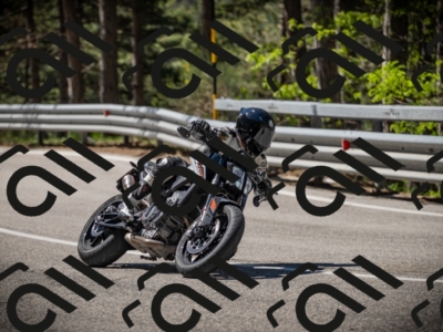 20250531104830-DSC_3181_am_