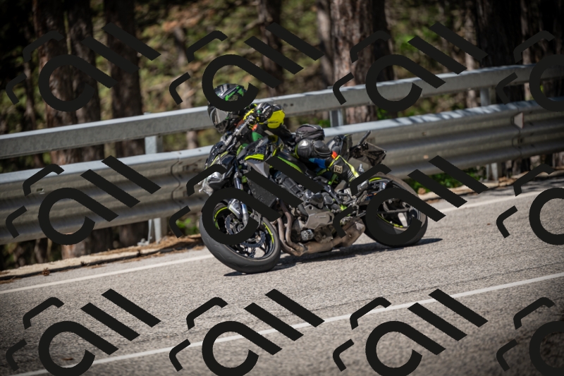 20250531104905-DSC_3190_am_