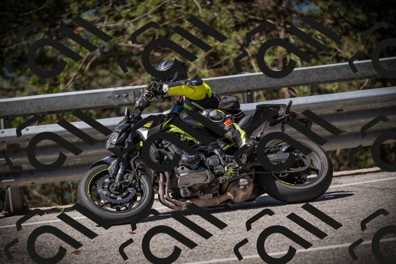 20250531104905-DSC_3191_am_